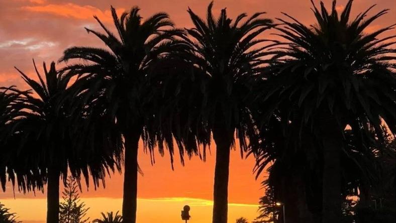 金钱的终点在哪里?自由的终点又在哪里?